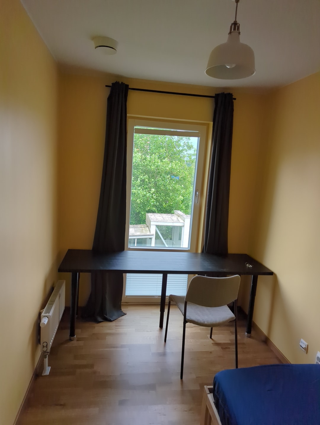 Scheelevägen i Lund