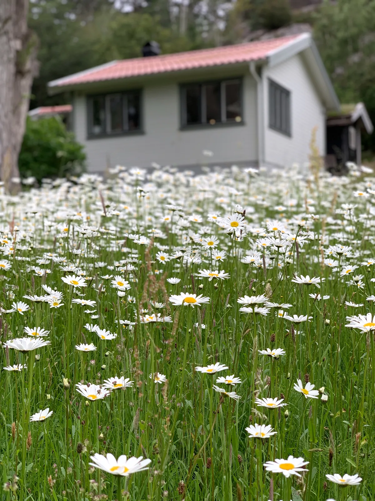 Bastubäcksvägen i Kode