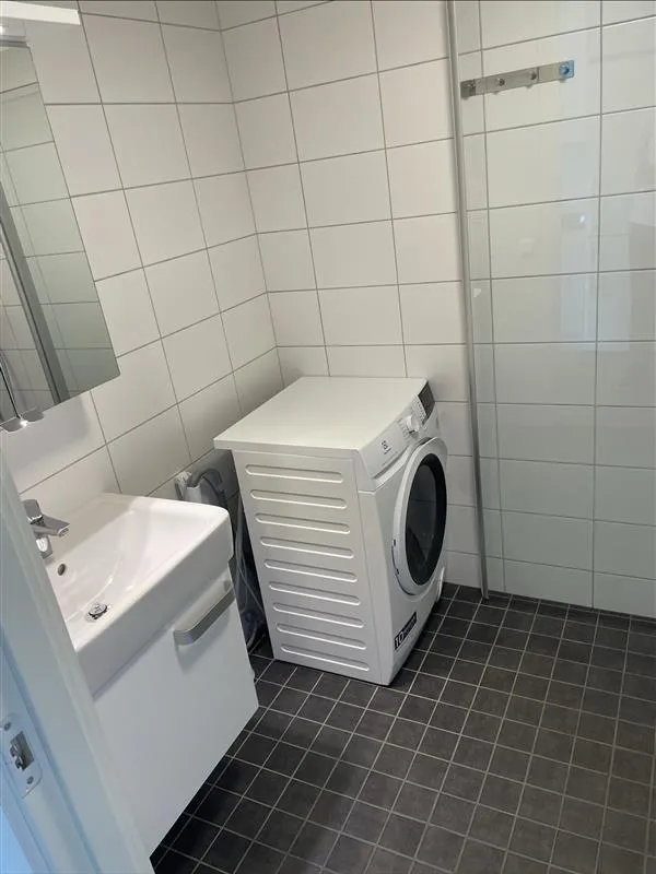Dånviksvägen i Salem