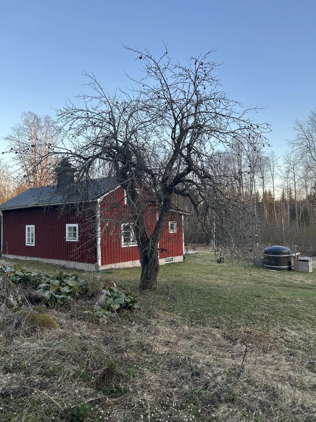 Hå i Ljusne