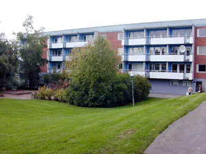 Axel Johnsons Väg i Avesta