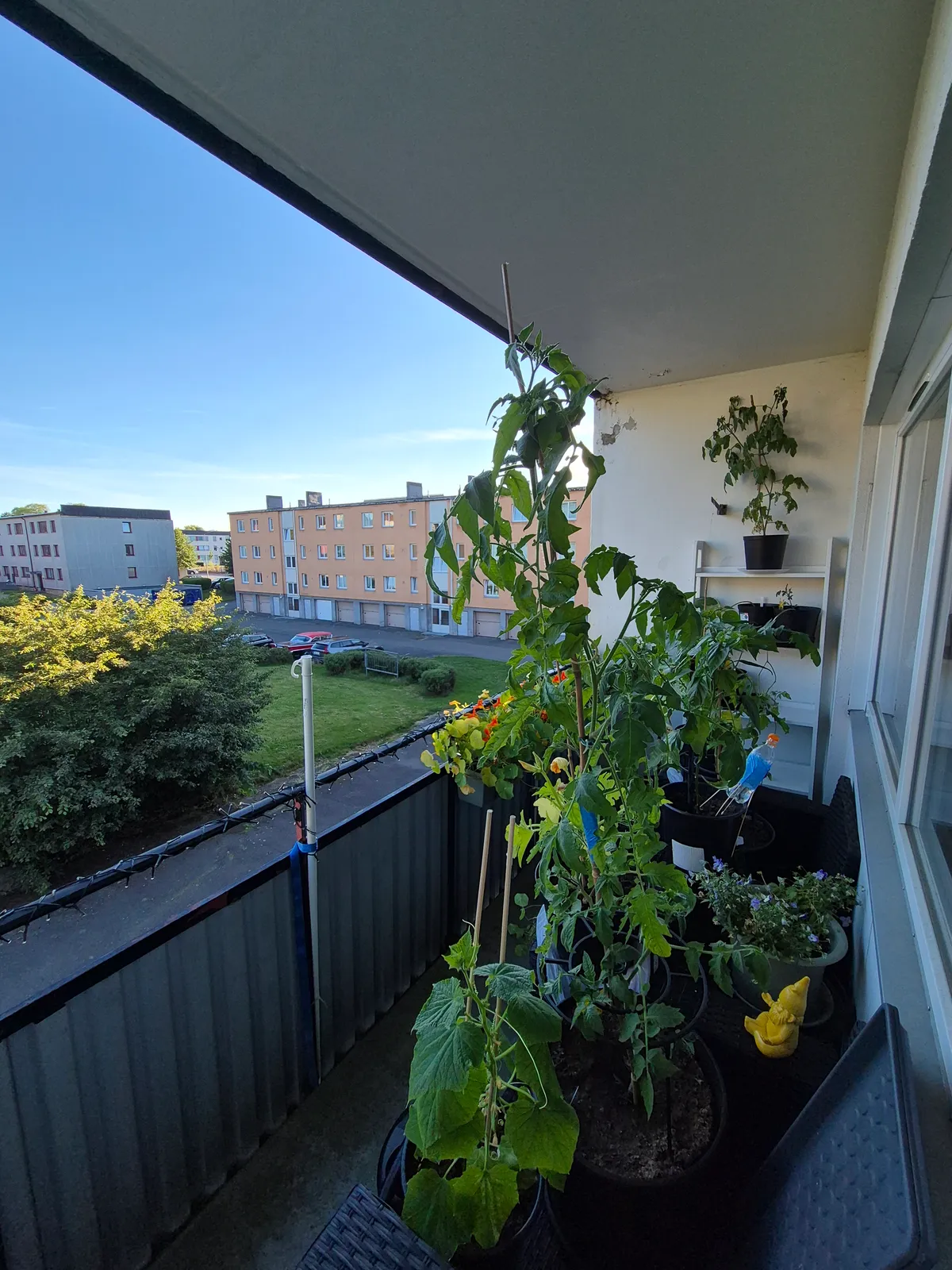 Esplanadgatan i Forserum