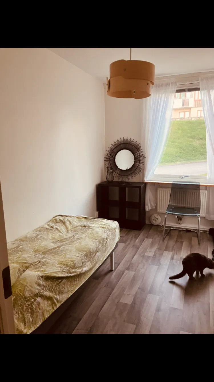 Hålldammsvägen i Partille