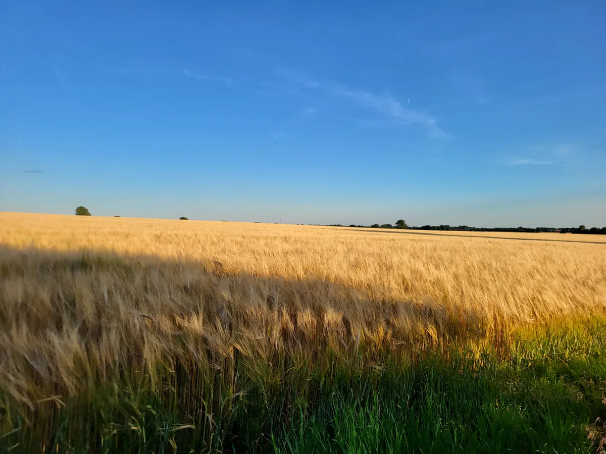 Högestorp i Marieholm