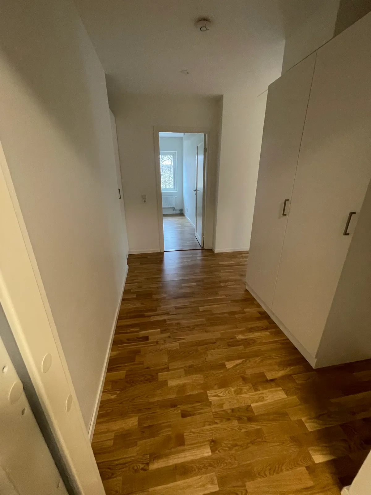 Askvägen i Romelanda