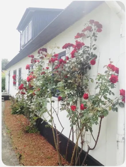 Lilla Beddinge kyrkväg i Beddingestrand